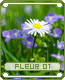 fleur01