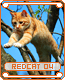 redcat04