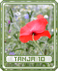 tanja10